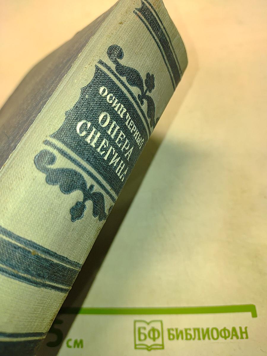 Опера Снегина