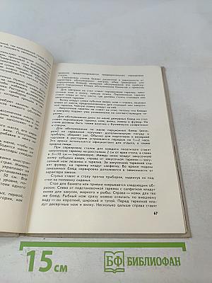 Современный ресторан и культура обслуживания
