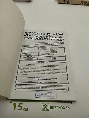 Классный Руководитель № 2