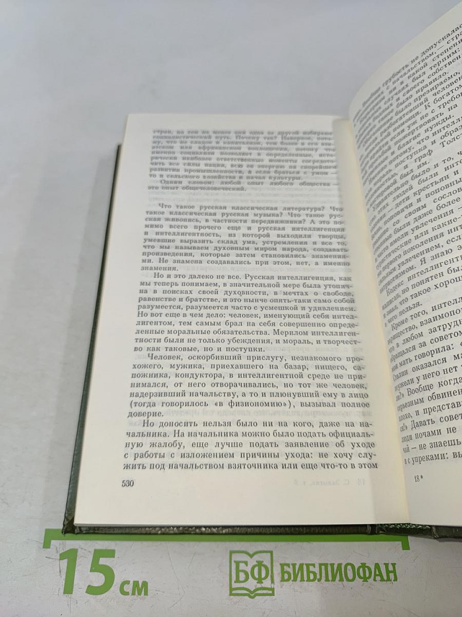 Собрание сочинений. Том 6. Рассказы 1981-1989. Литературно-критические статьи
