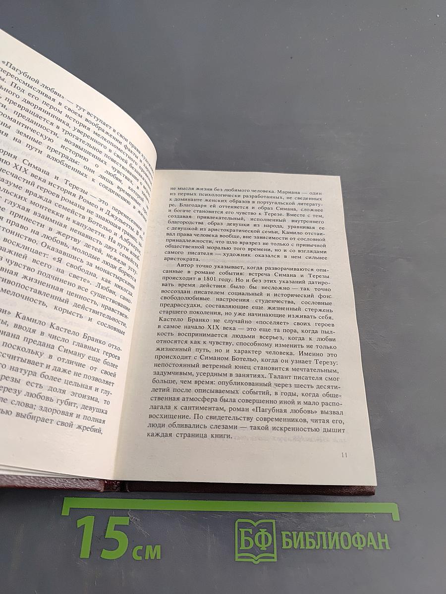 Пагубная любовь. Новеллы