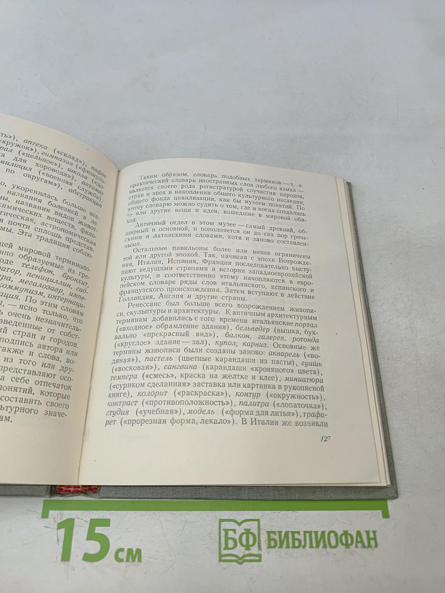 В мире слов