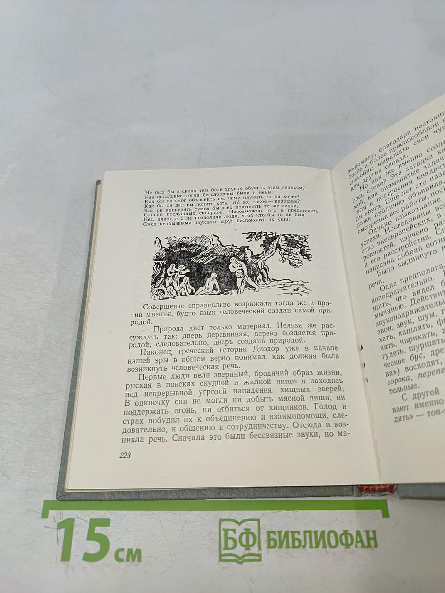 В мире слов