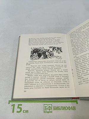 В мире слов