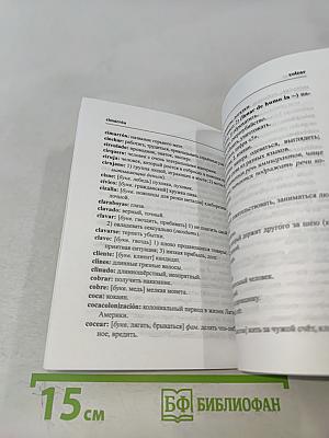 Словарь аргентинизмов современного испанского языка