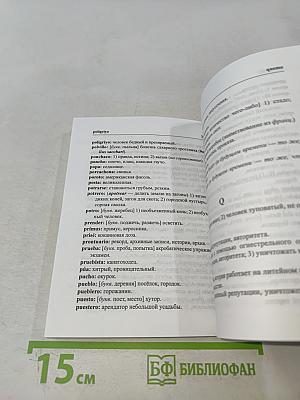 Словарь аргентинизмов современного испанского языка