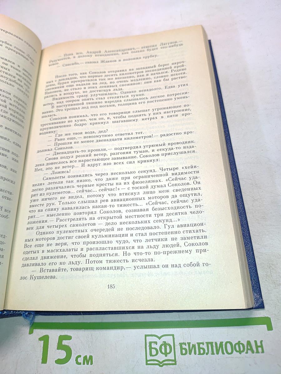 Блокада. Книга четвертая