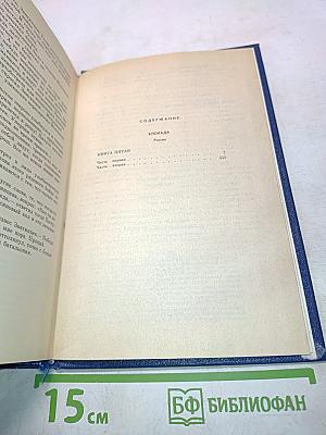 Блокада. Книга четвертая