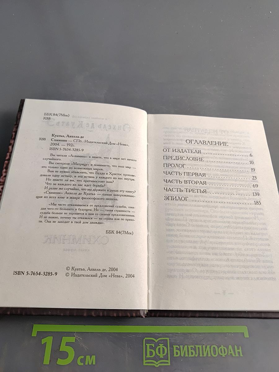 Схимник. Книга первая