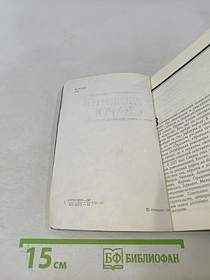 Художник Сварог