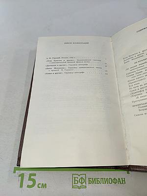 Собрание сочинений в 30 томах. Том 19. Пьесы, сценарии, драматические наброски 1917-1935