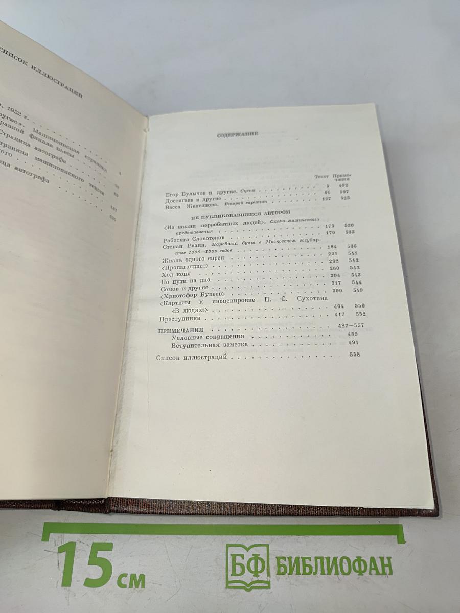 Собрание сочинений в 30 томах. Том 19. Пьесы, сценарии, драматические наброски 1917-1935
