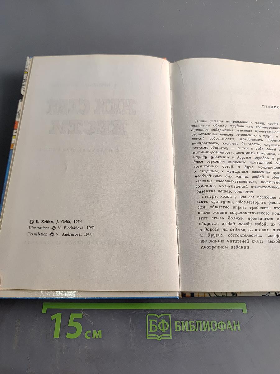 Как себя вести