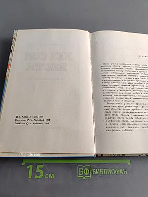 Как себя вести