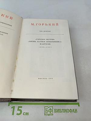 Собрание сочинений в 30 томах. Том 10. Городок Окуров. Жизнь Матвея Кожемякина. Наброски
