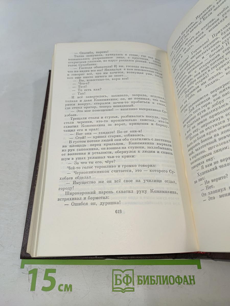 Собрание сочинений в 30 томах. Том 10. Городок Окуров. Жизнь Матвея Кожемякина. Наброски