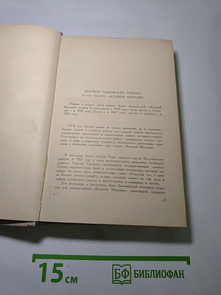 Великий Моурави. Часть VIII