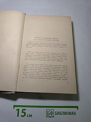 Великий Моурави. Часть VIII