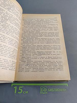 Краткий этимологический словарь русского языка