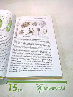 Зоология. Беспозвоночные. Учебник для 7 класса