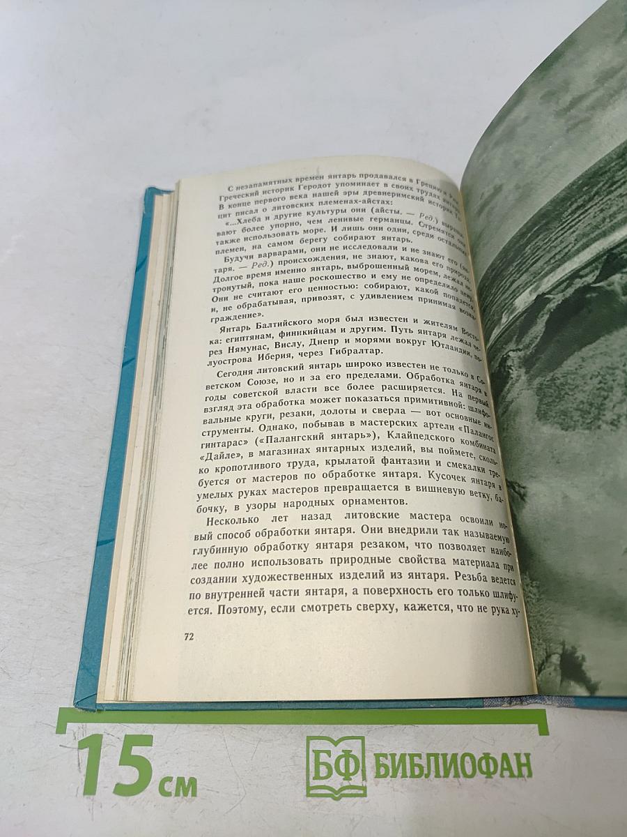 Паланга