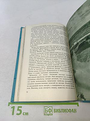 Паланга