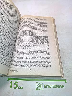 История зарубежной литературы XVII века