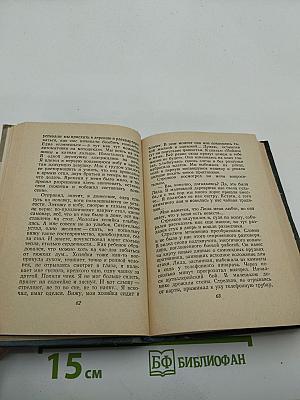 Таллинский дневник