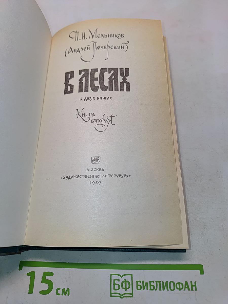 В лесах. Книга вторая