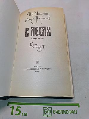 В лесах. Книга вторая