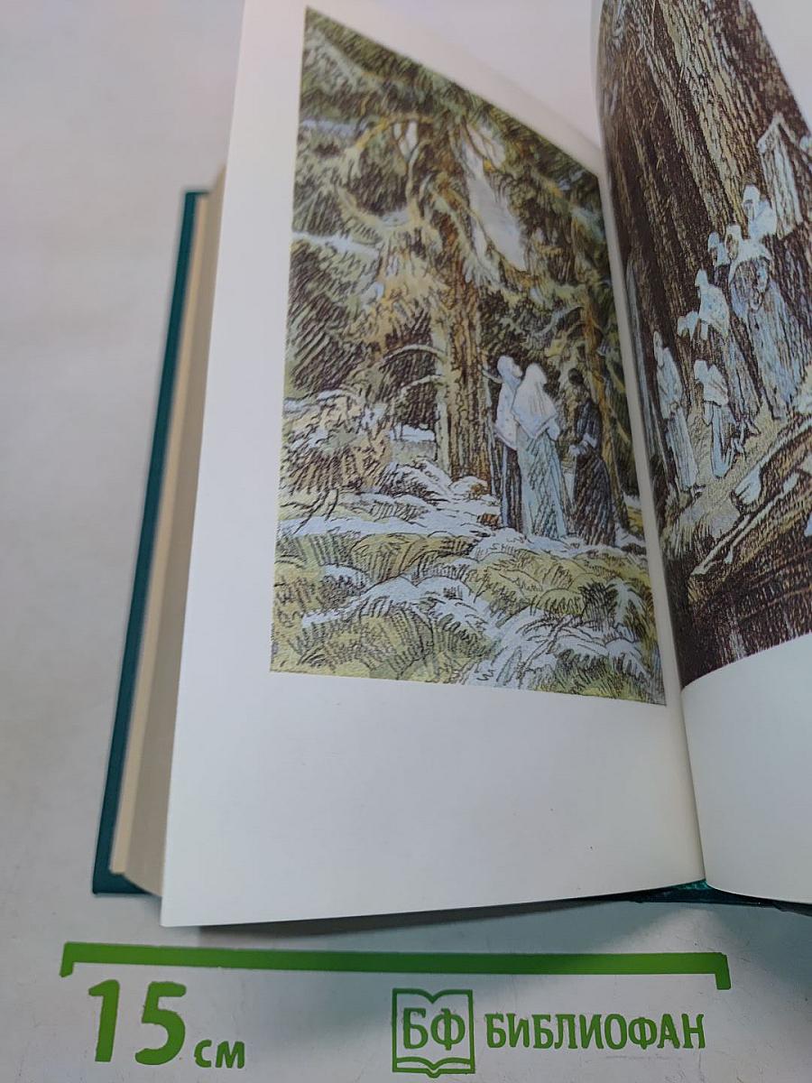 В лесах. Книга вторая