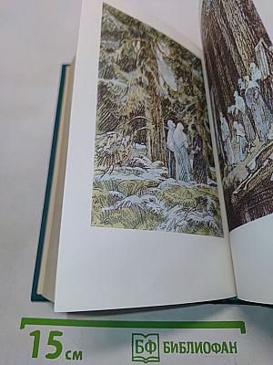 В лесах. Книга вторая