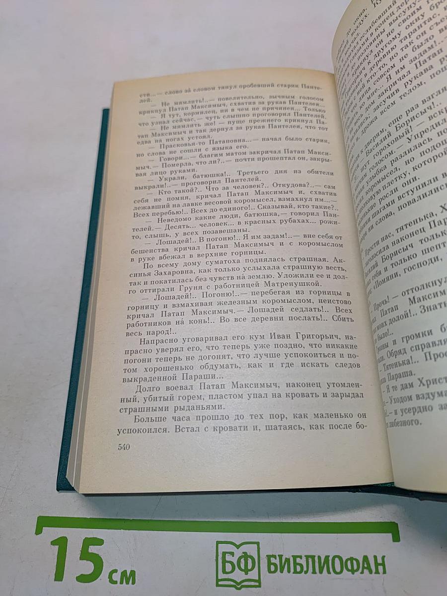 В лесах. Книга вторая