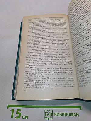 В лесах. Книга вторая