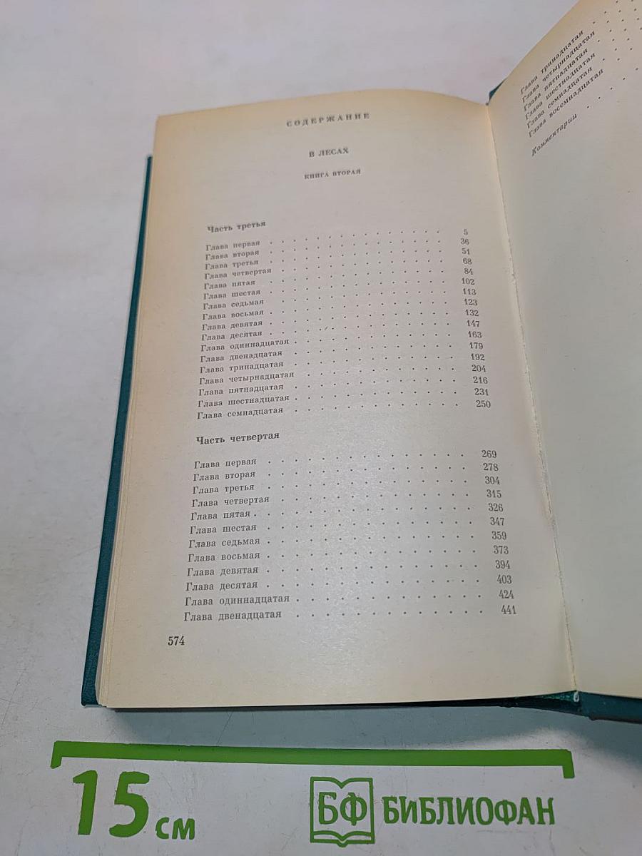 В лесах. Книга вторая