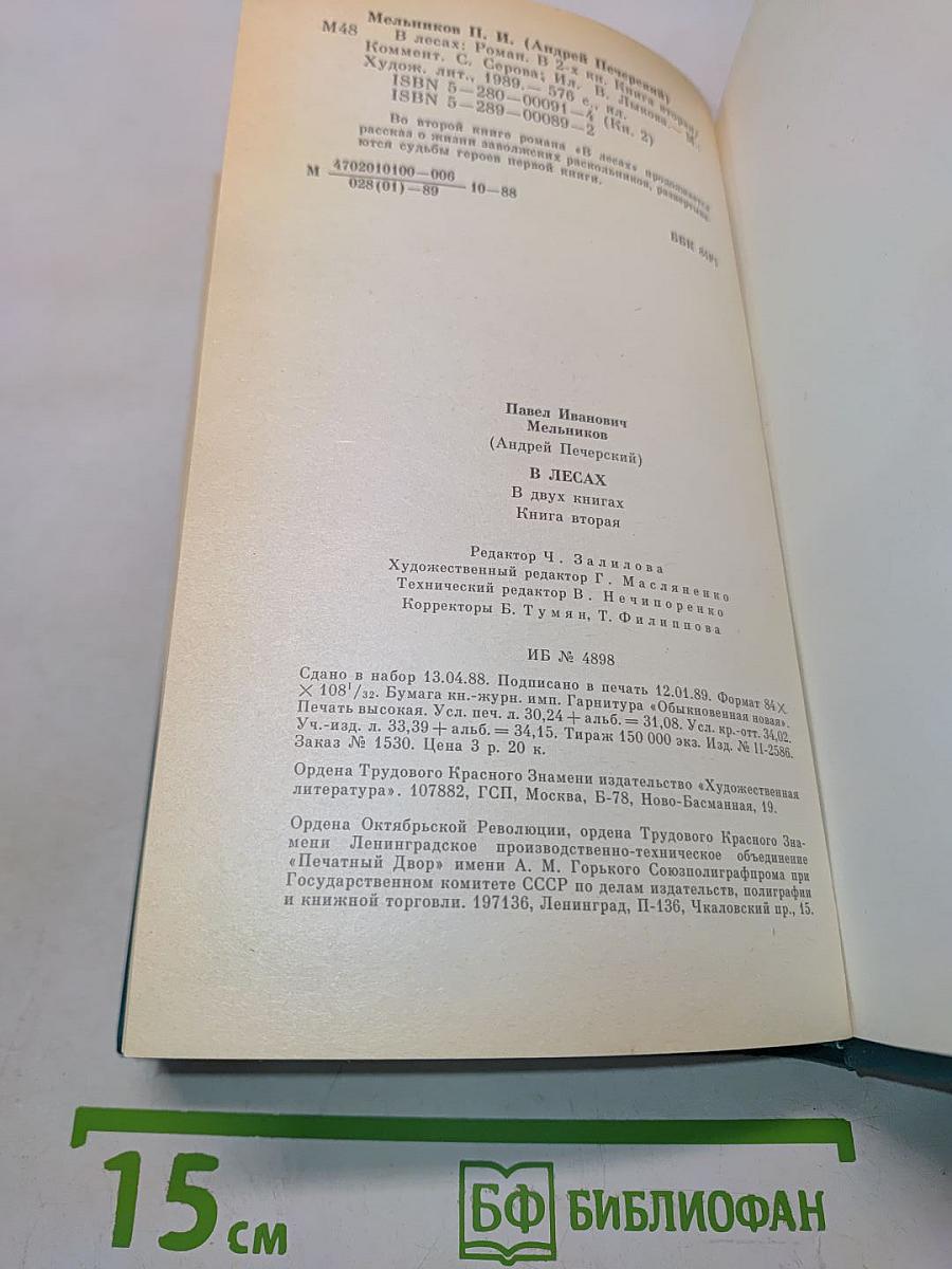 В лесах. Книга вторая