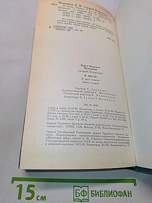 В лесах. Книга вторая