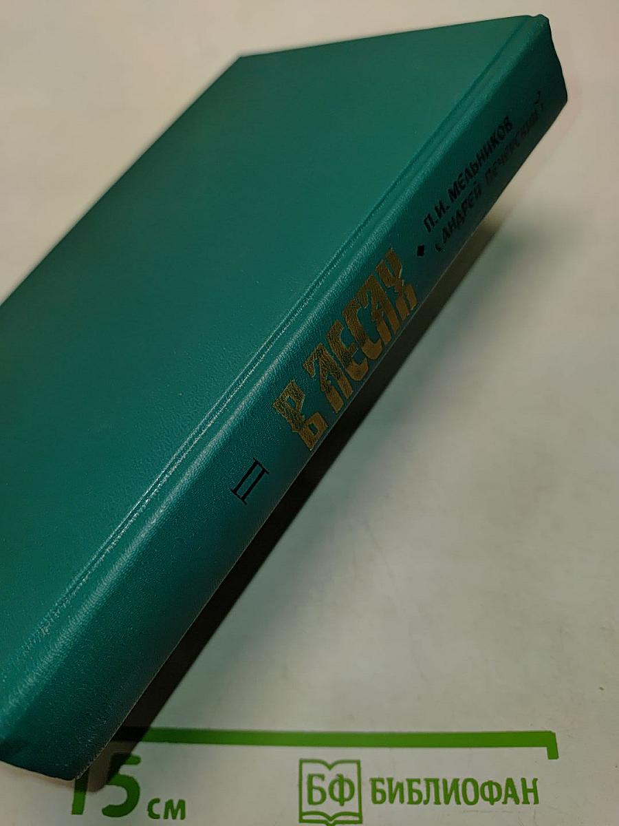 В лесах. Книга вторая