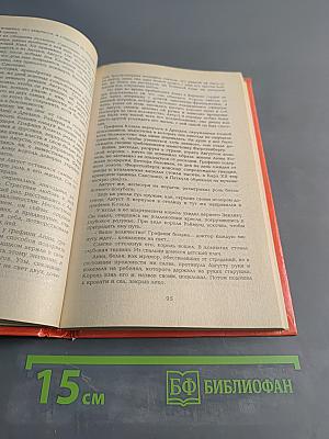 Графиня Козель
