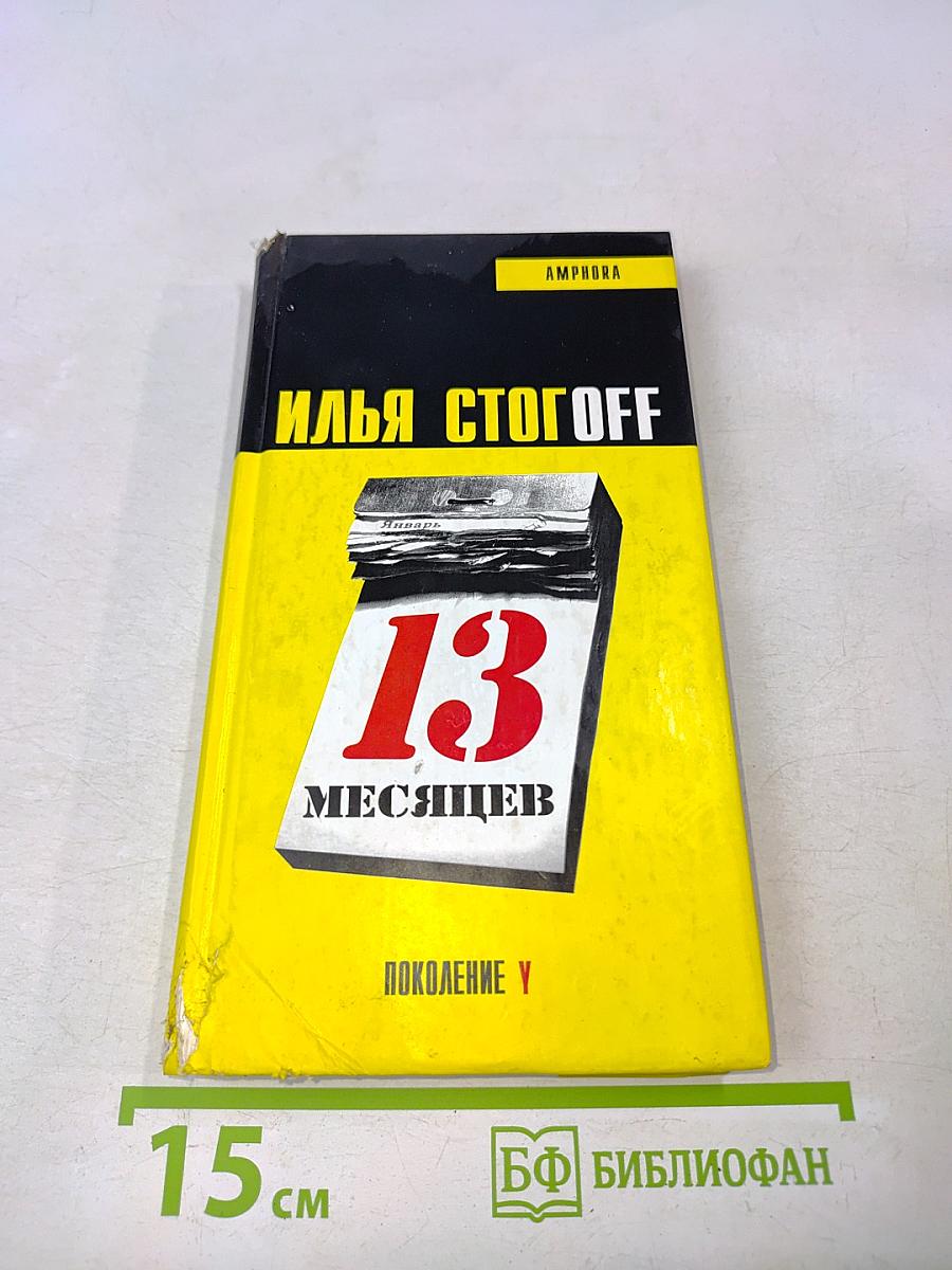 13 месяцев