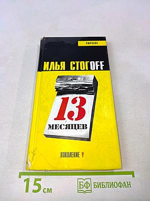 13 месяцев