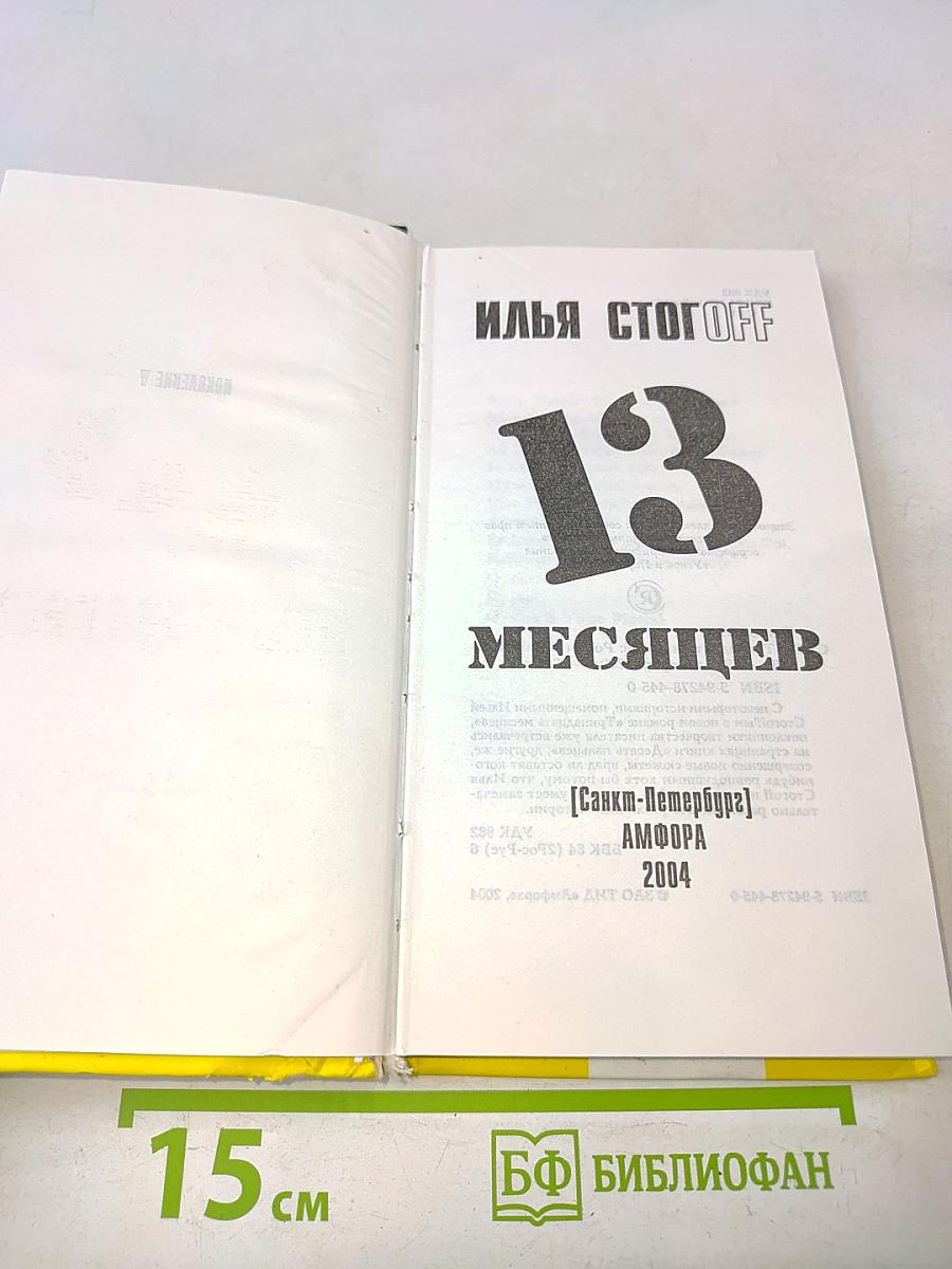 13 месяцев