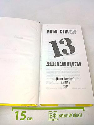 13 месяцев