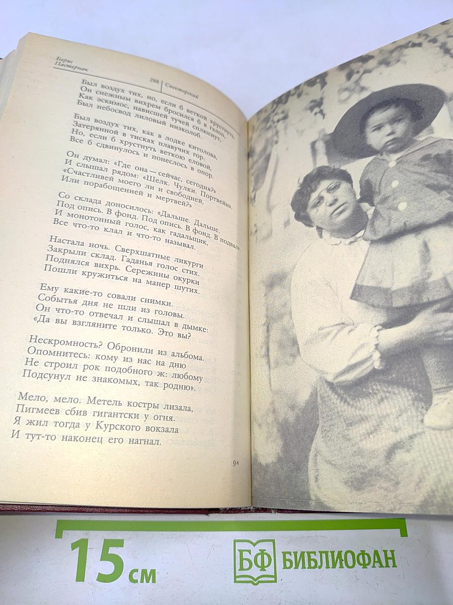 Стихотворения и поэмы. Переводы