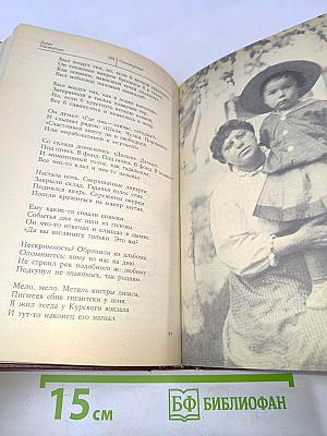 Стихотворения и поэмы. Переводы