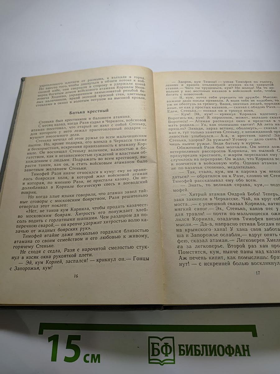 Степан Разин. Книга первая