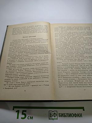 Степан Разин. Книга первая