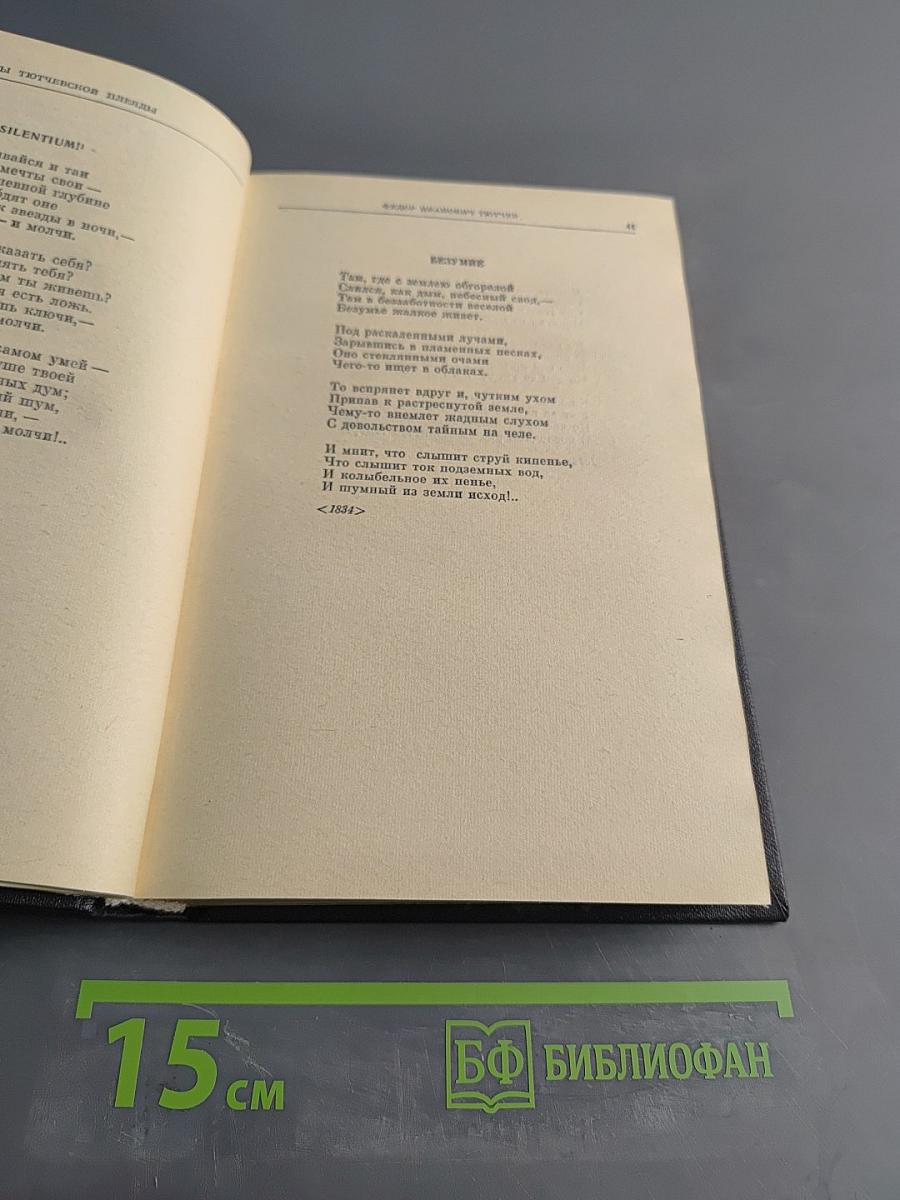 Поэты Тютчевской плеяды
