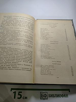 Степан Разин. Книга первая