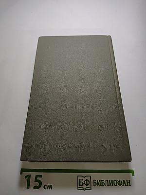 Степан Разин. Книга первая